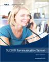 NEC SL2100 Phone System Package Special